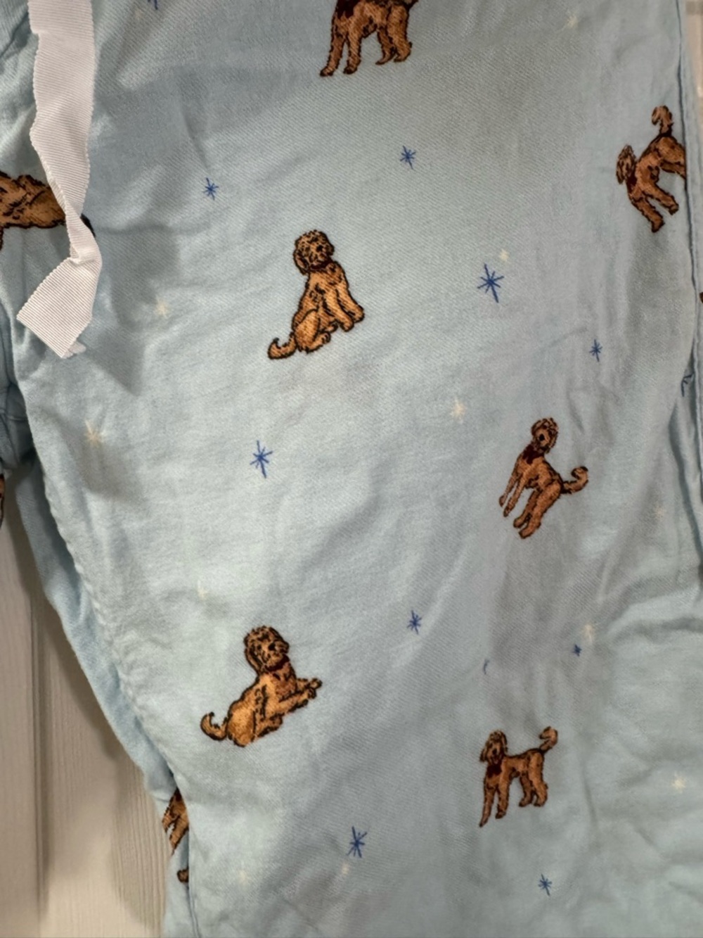 J. Crew Pale Blue Goldendoodle Lounge Pants - Picture 5 of 6